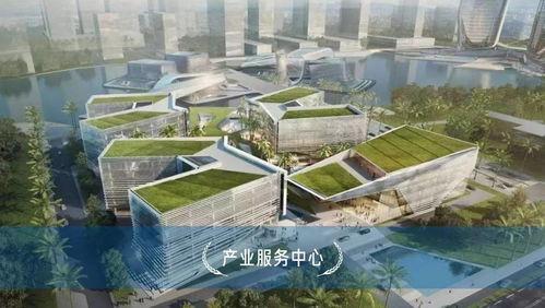 金湾最新爆料,揭秘神秘项目背后的惊人真相！  第2张